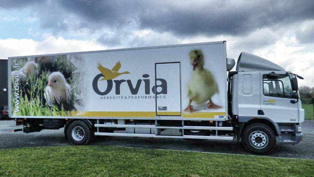 daf-remorque-orvia